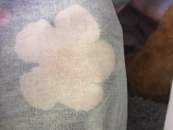 粘必牢化工為家居布藝類客戶提供膠水應用方案